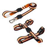 Kit Para Cachorros Grande Porte Guia + Peitoral H Noord