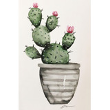 Vinilo Decorativo 20x30cm Cactus Con Flores Plantas M1