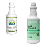 Clorofila Nature's Sunshine 473 Ml Sabor Menta