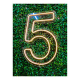 Painel Neon Numero Cinco 5 Instagram Iluminação Branco 50cm