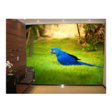 Adesivo De Parede Animais Arara Azul Grama 3d 6m² Anm126