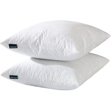 Basic Home 26x26 Euro Throw Pillow Inserts-down Plumas Almoh