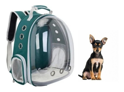 Bolsa Gato Cachorro Transparente Transporte Mochila Pinscher