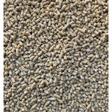 Alimento Ponedora Pellet 17% 10kg Aves Postura Gallinas