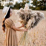 12 Piezas De Pampas Grass Secas Grandes De 35 Pulgadas,...