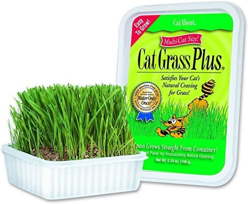 Cat-acerca De Miraclecorp Gimborn Gato Individual Grass Plus