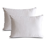 Combo X2 Almohada De Pluma Ecologica Ecodown, Tela 233 Hilos Color Blanco