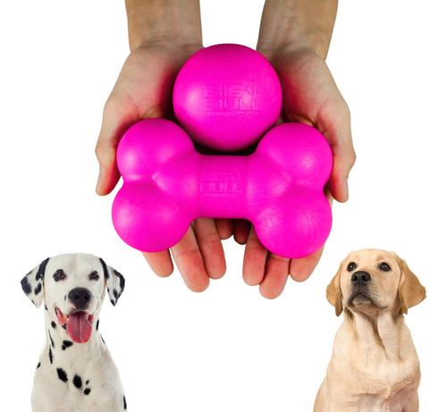 Brinquedo Pet Osso Maciço Bola Pula Pula Oferta Big Bull Pet