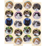 Pegatinas Para Gatos | 1.5 Redondo | Figuras De Gatito Paqu