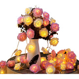 2m 10led Rosa Eterna Tiras Led Luces Led Decorativas