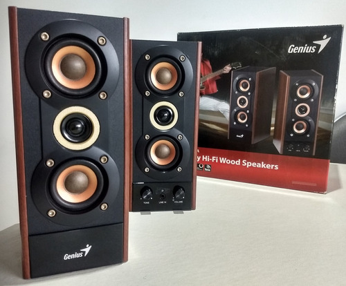 Parlante Genius Sp-hf800a 20w Madera Marron Oscuro (usado)