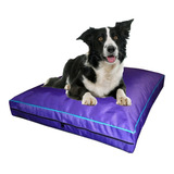 Colchon Liso Antidesgarro 90x60x12 Cm Cama Para Perros