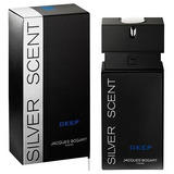 Perfume Silver Scent Deep 100 Ml