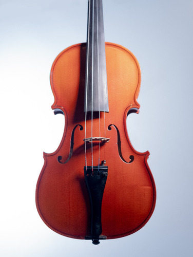 Violin Strunal Republica Checa 4/4