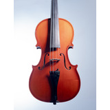 Violin Strunal Republica Checa 4/4