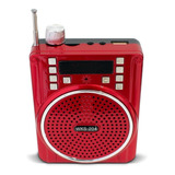 Bocina Buytiti Wks-204 Bluetooth Rojo 