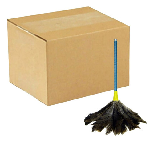 Espanador De Penas Duster 40 Cm Kit 10