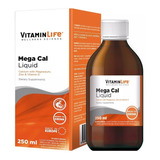 Vitaminlife Megacal Liquid 250ml