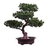 Árbol Bonsái Artificial De Pino, Bonsái Decorativo D...