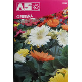 Semillas De Gerbera Margarita Africana.importadas.marca As