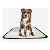 Tapete Higiênico Lavável 60x80 Tam M 5 Unidades, Cães Pet