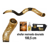 Shofar De Chifre De Antilope Com Prata - De Israel + Capa