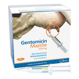 Gentomicin Mastite 10gr Cada Caixa Com 20 Unidades Syntec