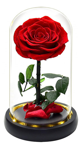 Flor De Rosa En Cúpula De Cristal, Regalos De