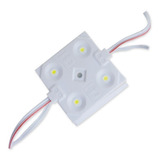 Caluga Led Smd 2835 Blanco Frío Módulo 4 Leds 12v 1.08w X100