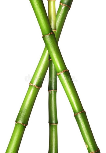 Caña De Bambu De Tres Metros La Unidad