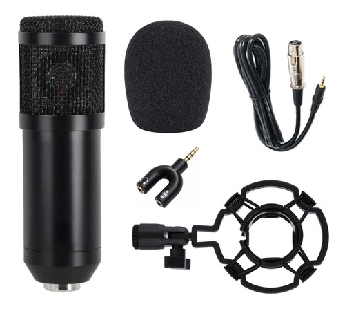 Microfone Condensador Xlr,studio Cabo+shockmount+pop Bm 800
