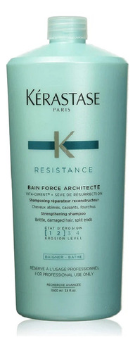 Bain Force Architecte 1 Lt Kerastase