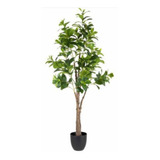 Planta Decorativa Artificial Paperomia 1,70cm