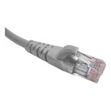 Cable Patch Inyectado Multifilar 3 Metros Gris Cat6 Lszh