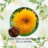 Turba Canadiense Especial Para Semillas De Girasol Enano