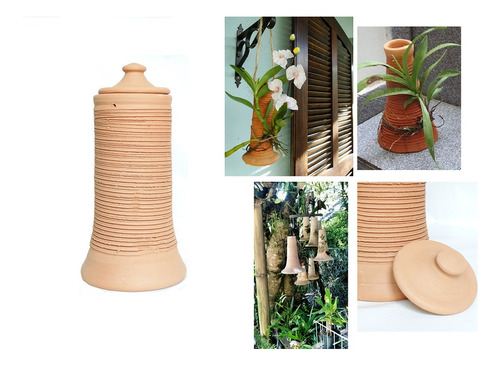 Moringa D´agua Kit 1pç Vaso Orquidea Para Rápido Crescimento