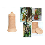Moringa D´agua Kit 1pç Vaso Orquidea Para Rápido Crescimento