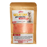 Gelatina Para Perritos Y Gatos