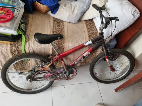 Bicicleta Rin 20 Para Niño