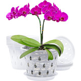 Kit De 5 Macetas Rígidas Transparentes - Orquídeas