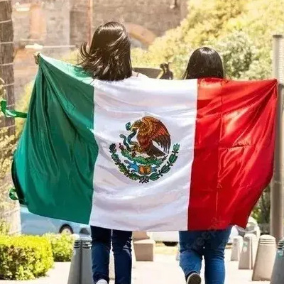 Bandera De Mexico Banderines Internacionales 90*150cm | MercadoLibre