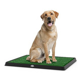 Alfombrilla De Baño De Césped Artificial Para Cachorros