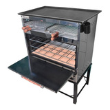 Horno Pizzero 6 Moldes Multiple  ,carlitero + Plancha