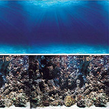Antecedentes Vepotek Acuario De Los Fondos Oceánicos / Coral