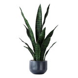 Sansevieria - Plantas Artificiales De Serpiente Con Maceta D