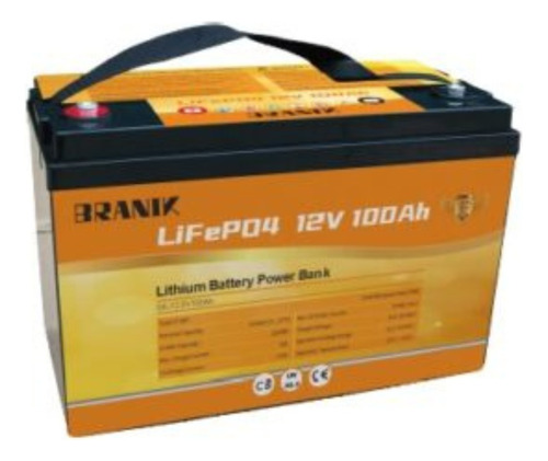 Batería Litio Lifepo4 12v - 100ah - 5000 Ciclos - Bms Inclu 