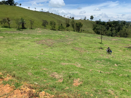 Hermoso Lote Via San Vicente Vereda Chaparral