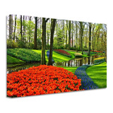 Cuadro Paisaje Jardín Parque Canvas Grueso Cjd16 60x40