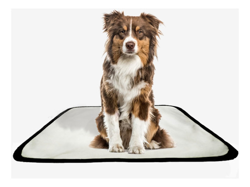 Tapete Canino Pet Estratégico Em Oferta 1 Un M 60x80 Cm