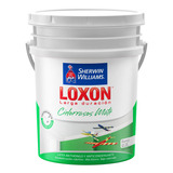 Latex Cielorraso Loxon Larga Duracion 20lt Sherwin - Rex